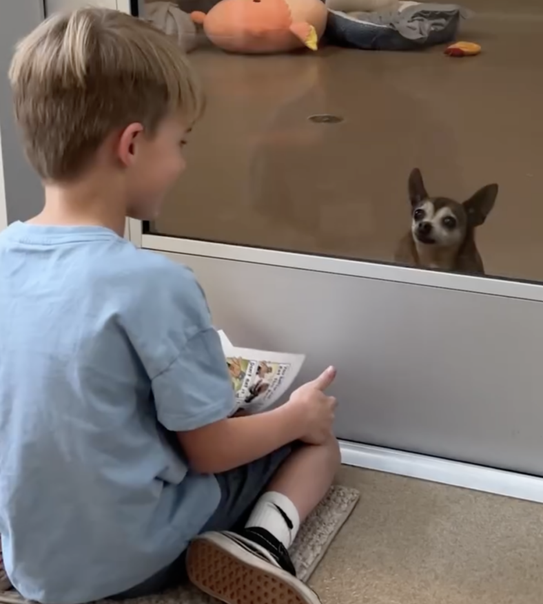 ‘Read To a Shelter Dog’ Programs